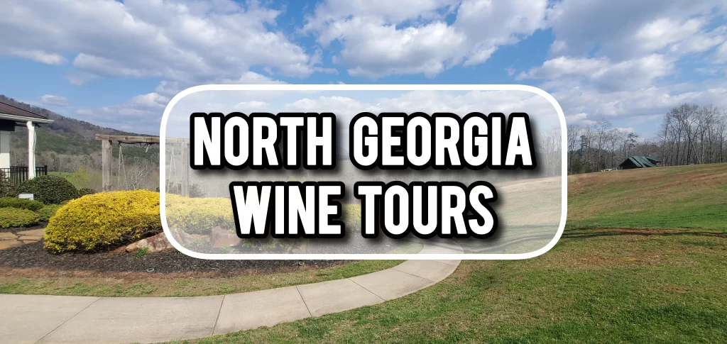 North-Georgia-Wine-Tours-1.webp